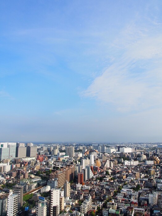 タワ－コ－ト北品川の物件内観写真