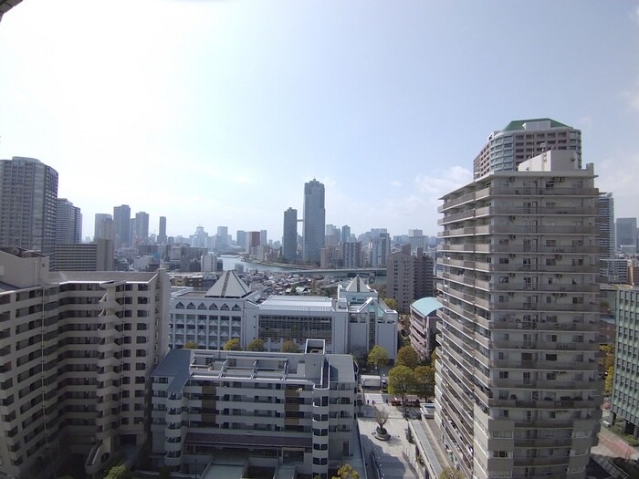 ﾘﾊﾞ-ｼﾃｨ21ｲ-ｽﾄﾀﾜ-ｽﾞ10号棟の物件内観写真