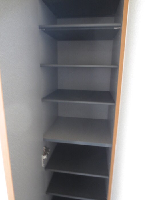 ドリーミオの物件内観写真