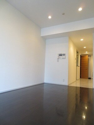 カスタリア麻布十番七面坂の物件内観写真