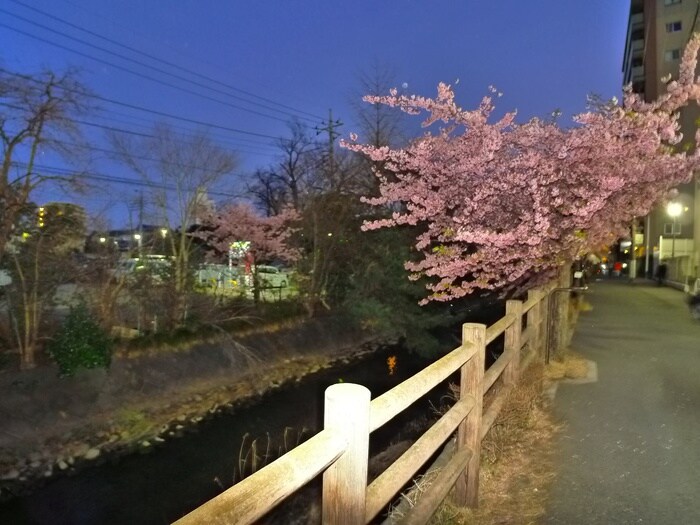 Woman Chintai アンセイエ松戸 6階 千葉県松戸市松戸 常磐線松戸駅の賃貸情報 女性の一人暮らし 部屋探し賃貸物件情報