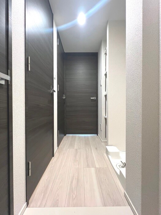 ﾗﾌｨｽﾀ大師前Ⅳ(205)の物件内観写真