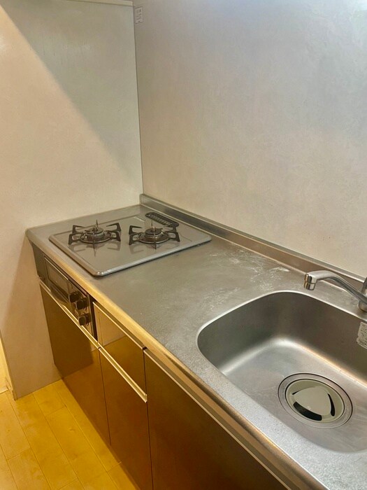 スカイヴィレッジの物件内観写真