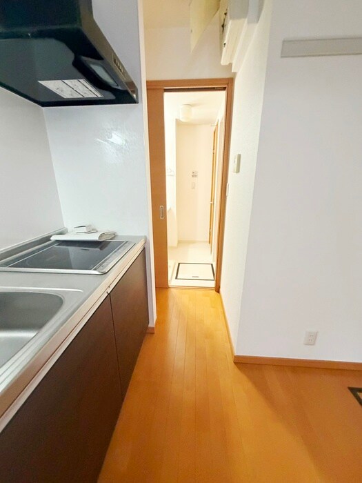 La Grue Ⅱ(ﾗｸﾞﾙ-ｴ2)の物件内観写真