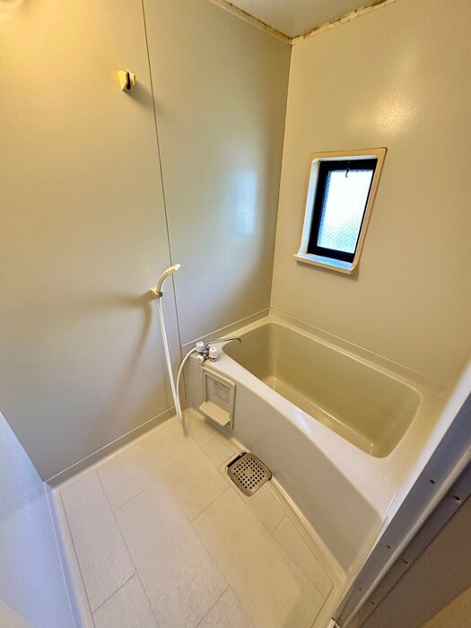 ビーライン鷺沼の物件内観写真