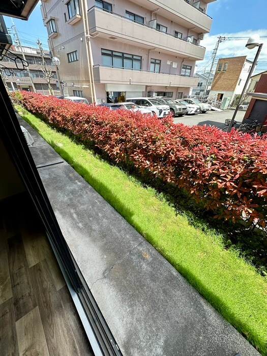 ビーライン鷺沼の物件内観写真