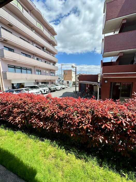 ビーライン鷺沼の物件内観写真