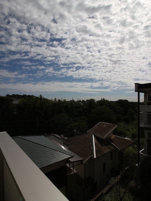 ペスカの物件内観写真