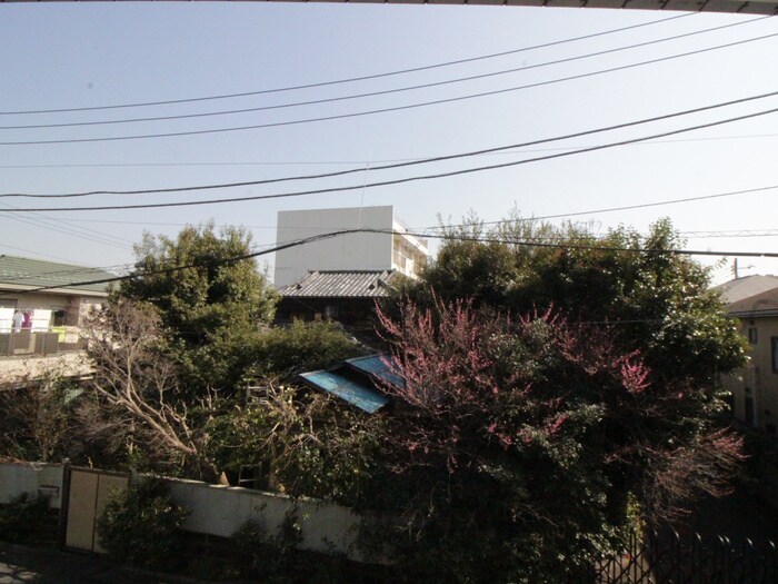 モン・シャトー中野中央の物件内観写真