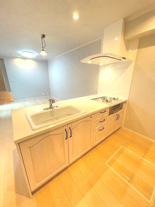 エコリビングステージ上北台Ｎ棟の物件内観写真