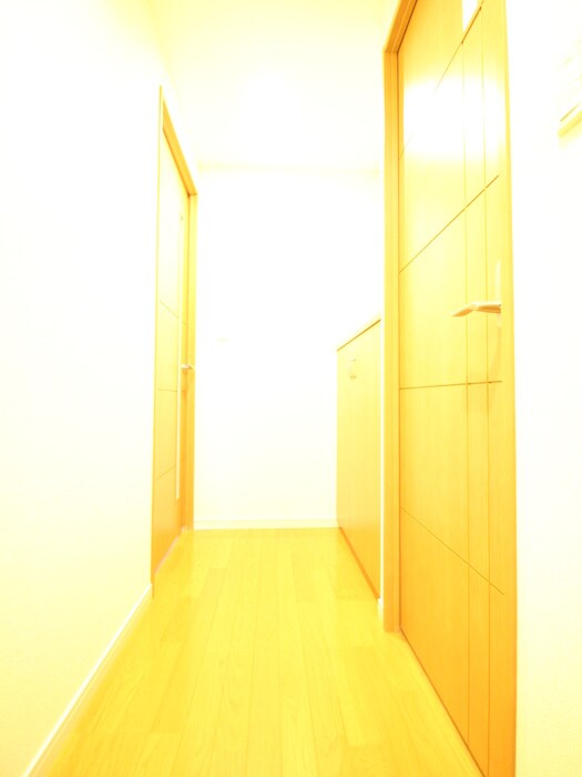 ＫＵレジデンスの物件内観写真