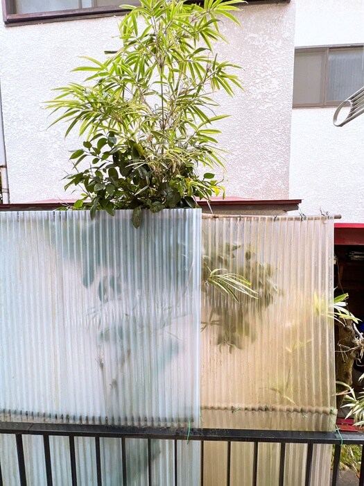 メゾン府中の物件内観写真