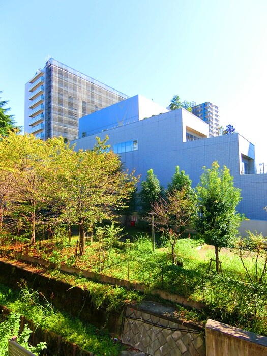 コンフォ－ト宮本の物件内観写真