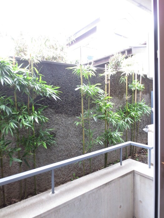 マイホ－ム国立の物件内観写真