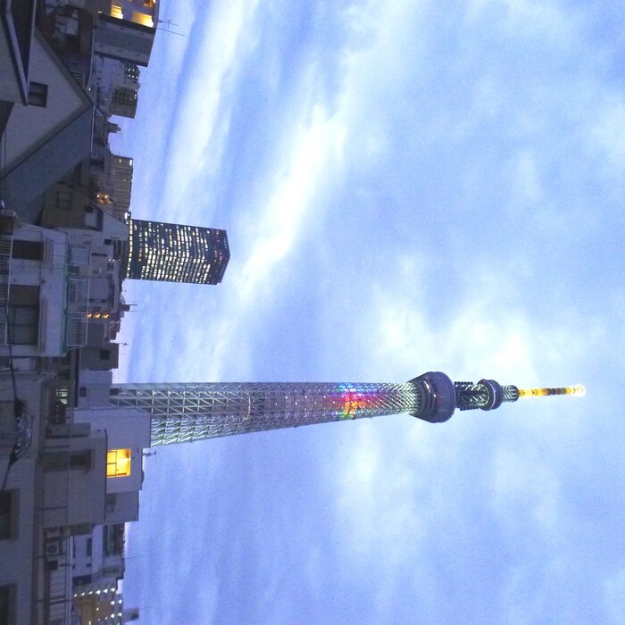 グランメゾン押上の物件内観写真