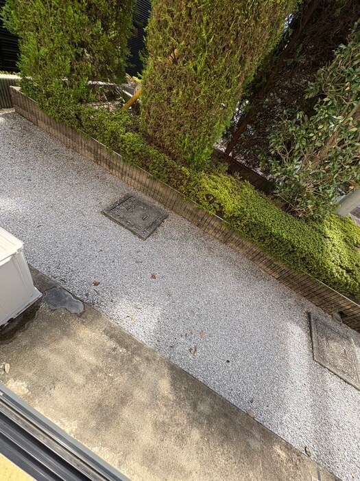 Condoleezaの物件内観写真