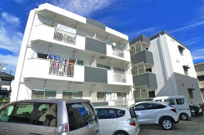 サンパレス市川の物件外観写真