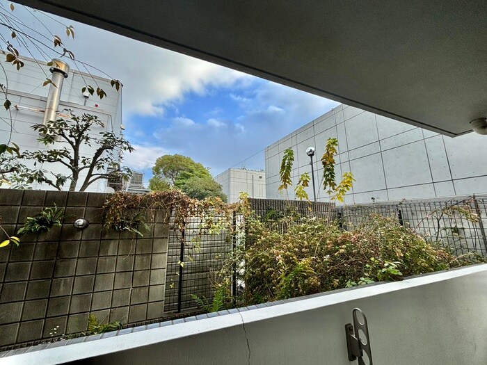 スパシエ　エクレクトの物件内観写真