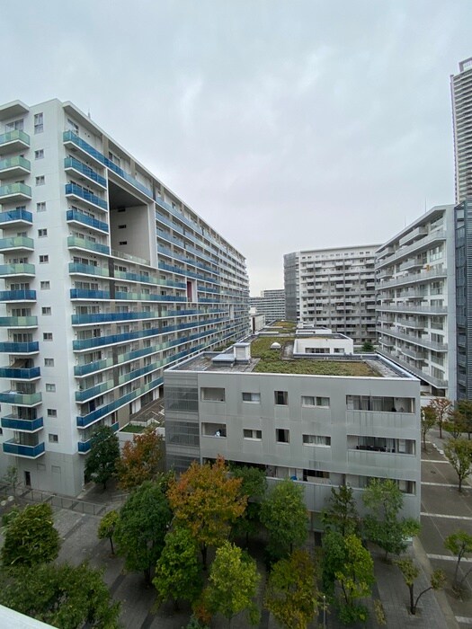 東雲ｷｬﾅﾙｺ-ﾄCODAN１７号棟の物件内観写真