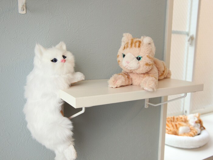 エースハイム朝霞台の物件内観写真