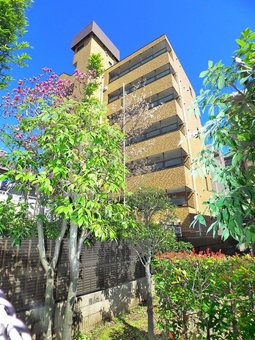 ﾗｲｵﾝｽﾞﾏﾝｼｮﾝ五反野第六(703)の物件外観写真