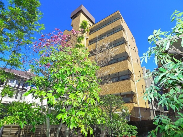 ﾗｲｵﾝｽﾞﾏﾝｼｮﾝ五反野第六(703)の物件外観写真