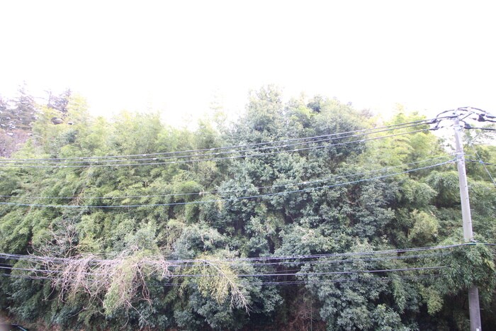 シャンテメゾン井上Ｎｏ．６の物件内観写真