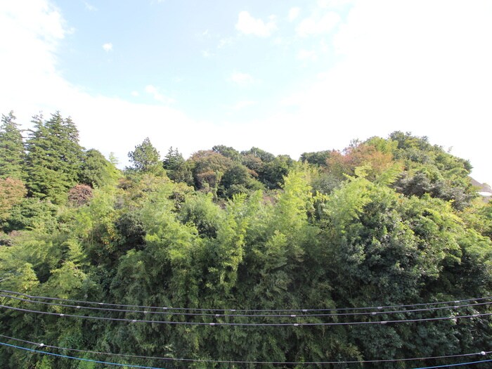 シャンテメゾン井上Ｎｏ．６の物件内観写真