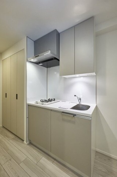 ﾌﾟﾗｳﾄﾞﾌﾗｯﾄ墨田曳舟ﾃﾞｨｱｰｼﾞｭの物件内観写真