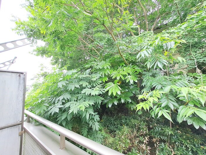 グランドステ－ジ横須賀の物件内観写真