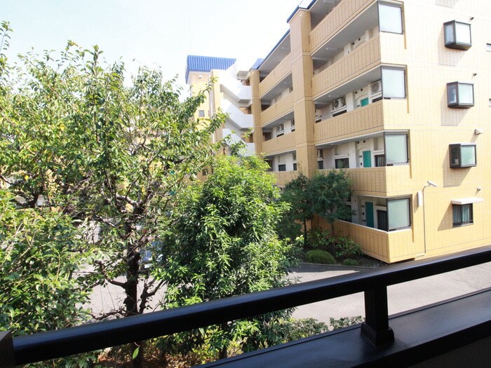 サンコ－トＩｍａｉの物件内観写真