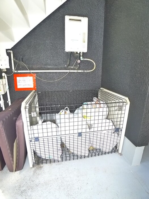 スターハイツの物件外観写真