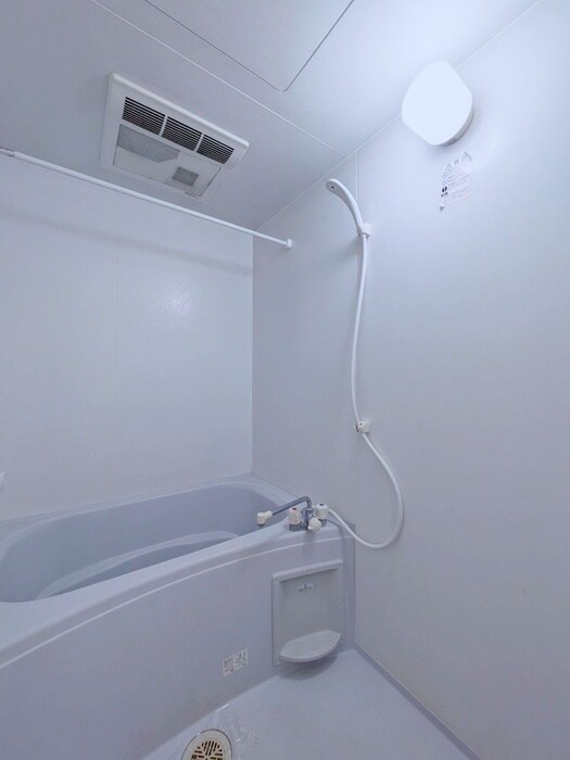 プリマヴェ－ラ問屋町の物件内観写真