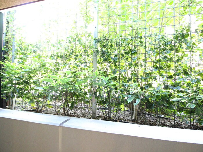 ザ･パークハビオ柿の木坂の物件内観写真