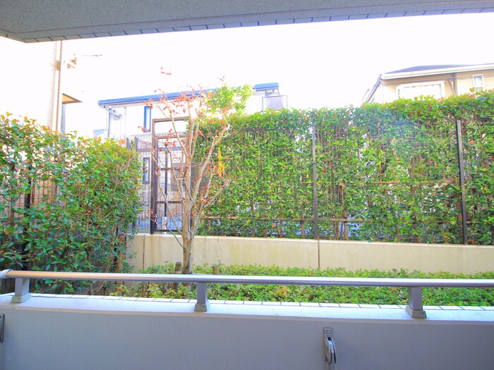 プライムコ－ト成増の物件内観写真