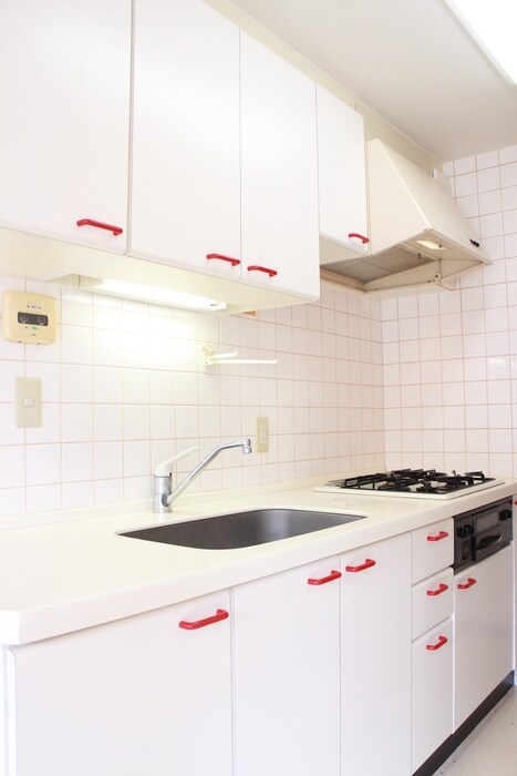 ファミ－ルヴィラ多摩の物件内観写真