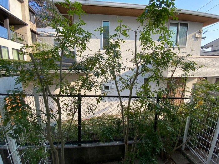 メイゾン上野毛の物件内観写真