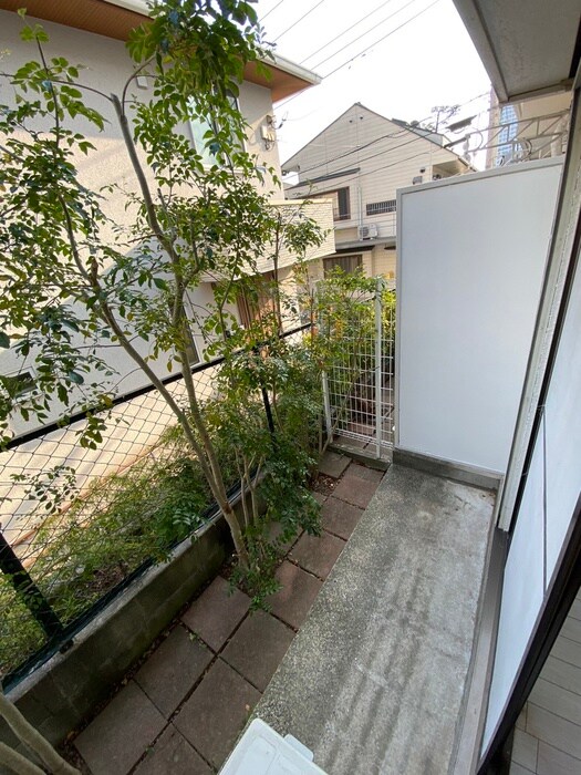 メイゾン上野毛の物件内観写真