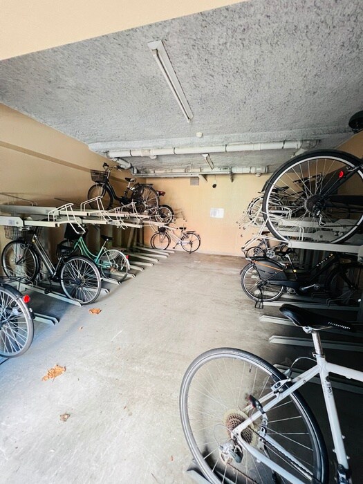 ﾌﾟﾚｰﾙ月島RIVAGE(401)の物件外観写真