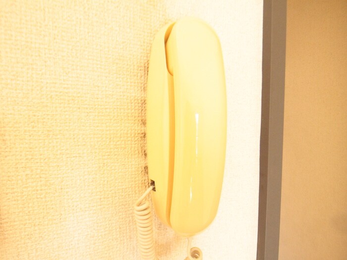 バスケットハウスの物件内観写真