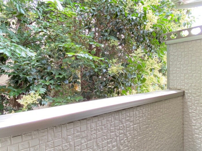 フェリオ鷺宮の物件内観写真