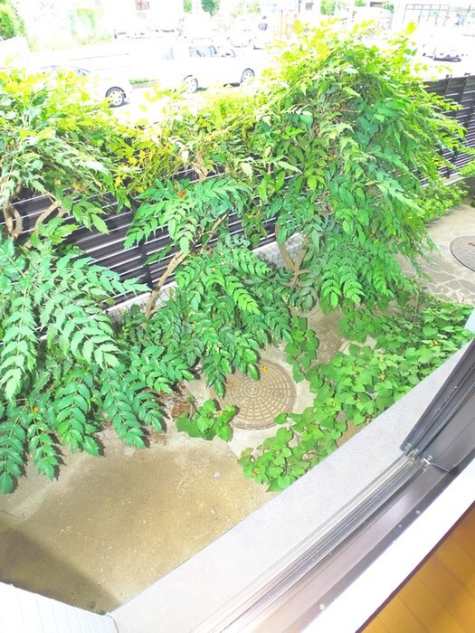 トーヨー柏ハイムの物件内観写真