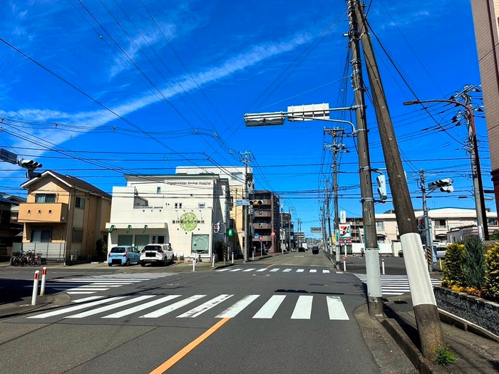 カーサ美麗の物件外観写真