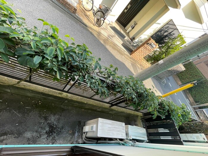 ＳＰＲＩＮＧ　ＨＯＵＳＥの物件内観写真