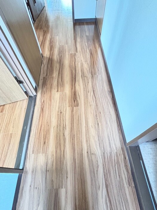 ドルフソニアド－ロの物件内観写真