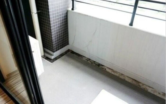 パークフラッツ中目黒の物件内観写真