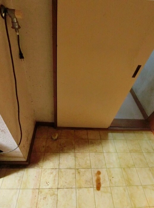 仮)西所沢貸家の物件内観写真