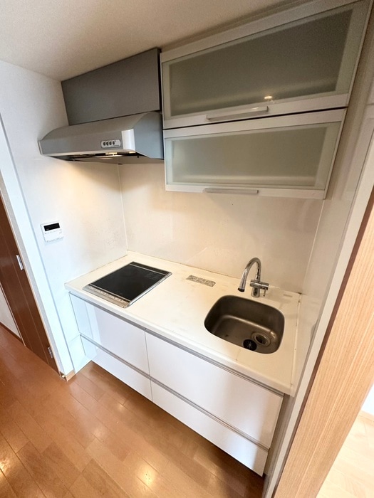 日神ﾃﾞｭｵｽﾃｰｼﾞ新宿外苑東通(301)の物件内観写真