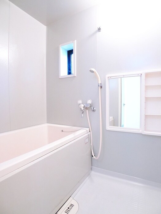 メゾン菊富士Ａの物件内観写真