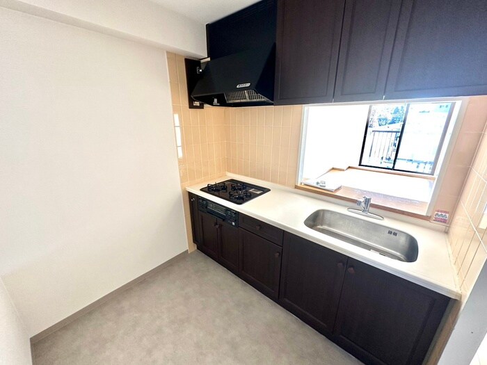 NICE STAGE 新小岩親水公園(403)の物件内観写真